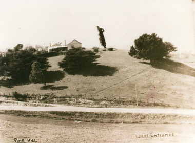Photograph - Pine Hill Guesthouse, 1950c