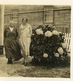 Photograph - Hansen at Venga/Mrs Hehi's Shop  c1920