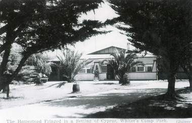 Photograph - Whiters Camp Park, Bulmer H D, 1940c