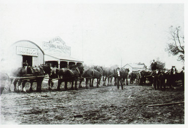 Photograph - Harbeck's Store, 1900c