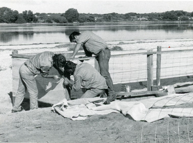 Photograph, Lakes Post Newspaper, 1991