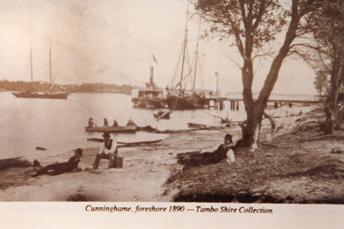 Photograph - Cunninghamme, 1890c