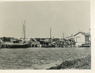 Postcard - Trawlers at the eastern wharf. Lakes Entrance Victoria c1955