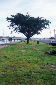 Photograph - Esplanade  Lakes Entrance 1999