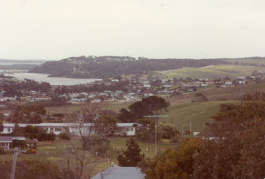 Photograph - Township, Fish, Marie, 1985c