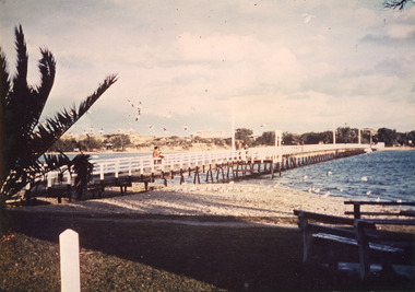 Photograph - Footbridge, Tambo Shire, 1985c