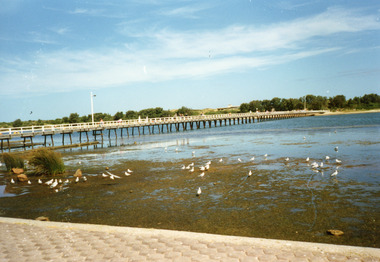 Photograph - Footbridge, Holding M, 1985c