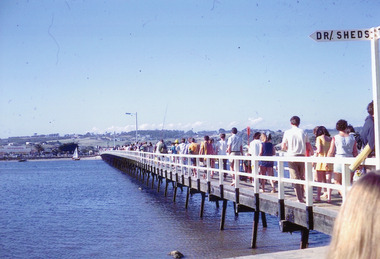 Photograph - Footbridge, Nelson Joan, 1985c
