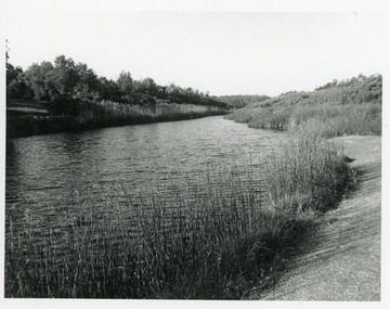 Photograph - Warm Holes, Lakes Entrance, Victoria. 1993, Lakes Post Newspaper, 1993