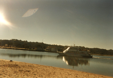 Photograph - Thunderbird, 1998c