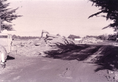 Photograph - Pecks factory, Fish Marie, 1995c