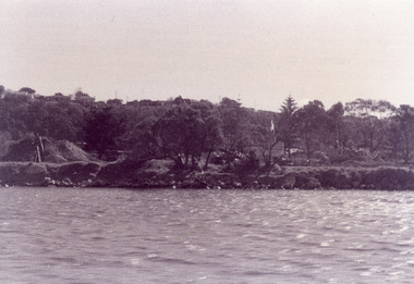 Photograph - Bullock Island, Fish Marie, 1995