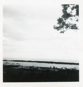 Photograph, Fraser, Nancy, 1970c