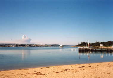 Photograph - Thunderbird, Holding M, 2000c