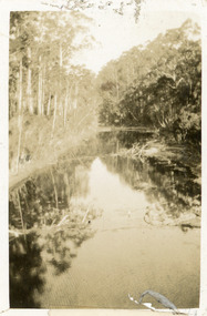 Photograph - North Arm Lakes Entrance 1924