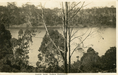 Postcard - North Arm, 1930c