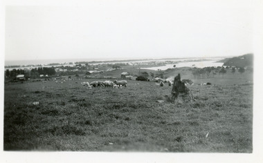 Photograph - Butcher's Paddock, Clark, Ruth, 1945c