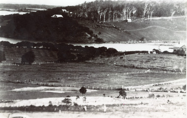 Photograph - Butcher's Paddock, c1935