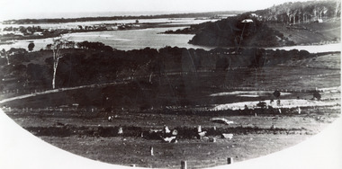 Photograph - Allen's Tearoom, 1935c