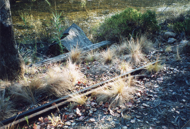 Photograph - Tramline, 1977