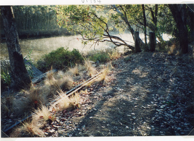 Photograph - Tramline, Fish Marie, 1997