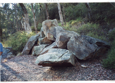 Photograph - Tramline, Fish Marie, 1997
