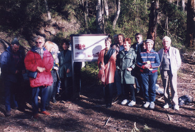 Photograph - Mississippi Creek, 1998