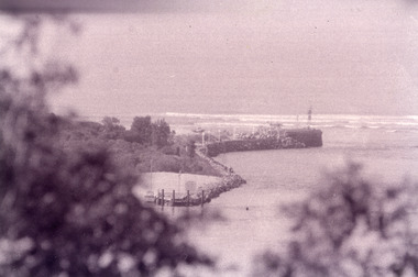 Photograph - The Entrance, Fish Marie, 1995