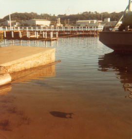 Photograph - New Works Jetty, Fraser, Nancy, 1983c
