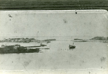 Photograph - Wombat, 1890c