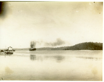 Photograph - SS Wyrallah, Phillips, Miss L, c1910
