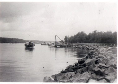 Photograph - Blackbird, 1940c