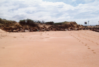 Photograph - Beaches, 2009