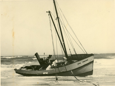 Photograph - Minotau, 1959