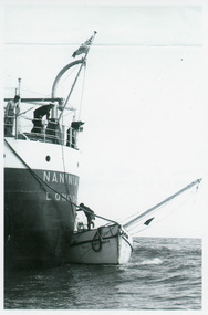 Photograph - Naninia