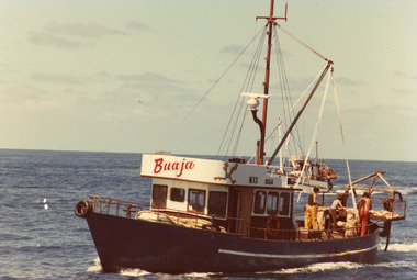 Photograph - Buaga, 2011
