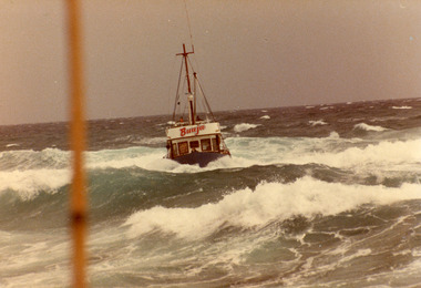 Photograph - Buaga, 2011