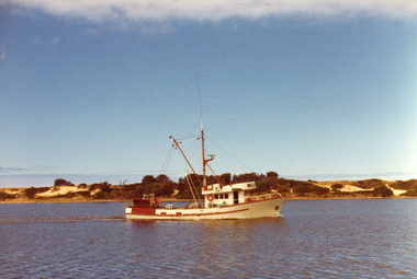Photograph - William Rose, 1978