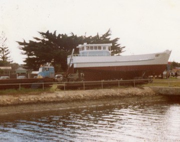 Photograph - Erin, 1990c