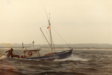 Photograph - Moya Ann, 1980c