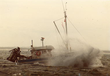 Photograph - Moya Ann, 1980c