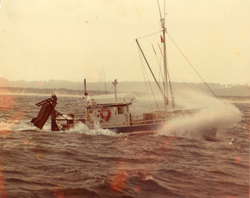 Photograph - Moya Ann, 1980c