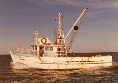 Photograph - Dee Jay, 1980c