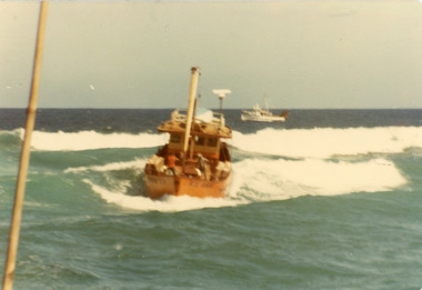 Photograph - Hewardia, 1975c