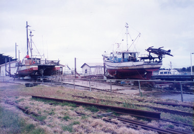 Photograph - Blue Eye, Fish Marie, 2000