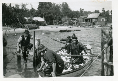 Photograph - Fish Pens, 1947 c