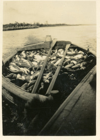 Photograph - Fish Pens, 1945 c