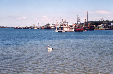 Photograph - Pelican, Lakes Post Newspaper, 2000