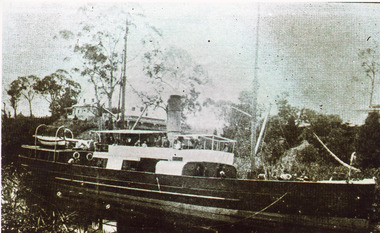 Photograph - SS Glenelg, 1899