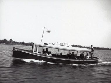 Photograph - Bluebird, c1955